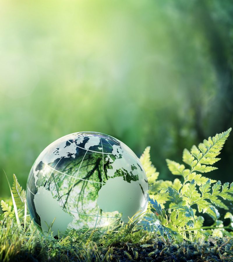 AdobeStock_199850553